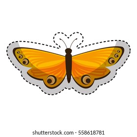 cute butterfly isolated icon vector illustration design