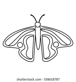 cute butterfly isolated icon vector illustration design