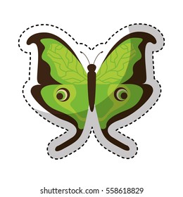 cute butterfly isolated icon vector illustration design