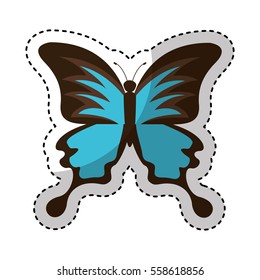 cute butterfly isolated icon vector illustration design