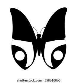 cute butterfly isolated icon vector illustration design