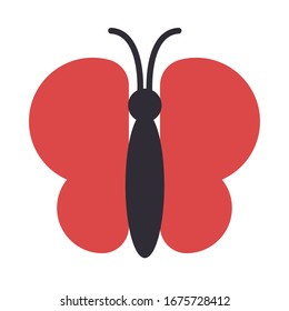 cute butterfly on white background vector illustration design
