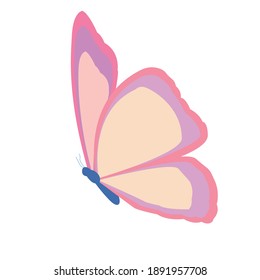 cute butterfly on a white background.