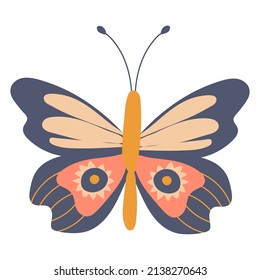 Cute butterfly on a white, isolated background. Drawn style. Vector illustration.
