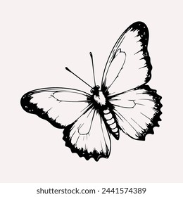  cute butterfly  vector art and  Illustrations. line art butterfly