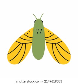 Cute butterfly. Vector doodle illustration.Moth. Postcard design.