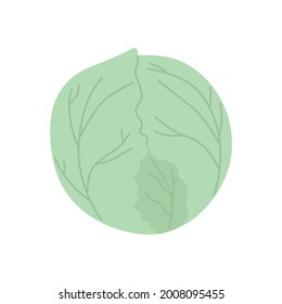 Cute cabbage isolated on white. Vegetable Ingredient for food.
