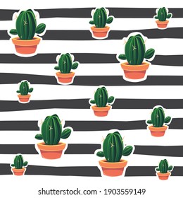 Cute cactus with black and white background