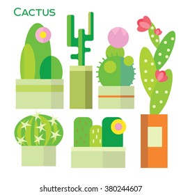 Cute cactus collection vector illustration