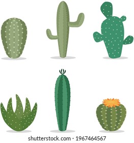 Cute Cactus Collections Set. Flat Vector Illustration
