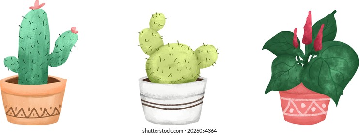 CUte Cactus and Decorative Plants Digital Illustration