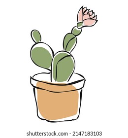 Cute cactus with a flower. Vector illustration of a houseplant on a white background.