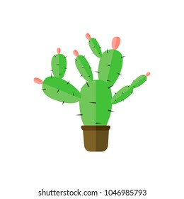 Cute cactus in a flowerpot on a white background.