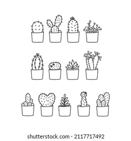 Cute cactus. Hand drawn cactus. vector illustration