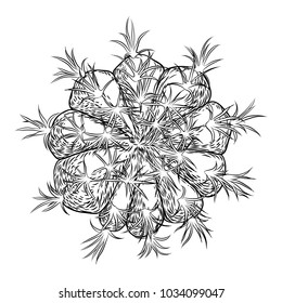 Cute cactus illustration. Handmade hand drawn outline cacti and succulent drawing. Decorative floral design element for prints, patterns, decoration needs. Vector.