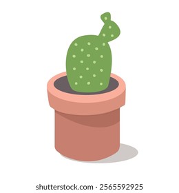 Cute cactus. Cactus illustration. Cute house potted decoration. Flower pot. Cactaceae. Cacti illustration. Desert plant.