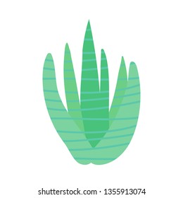 Cute cactus on white background vector illustration hand draw desing