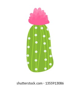Cute cactus on white background vector illustration hand draw desing