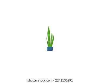 Cactus de corte sobre fondo blanco