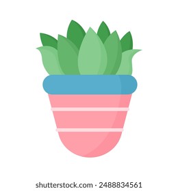 Cute cactus in a pink and blue pot