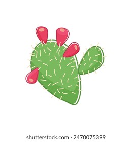 Cute cactus with pink fruits and prickles, adorable wild cacti plant vector illustration