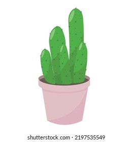 cute cactus in a pink pot