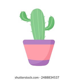 Cute cactus in a pink and purple pot