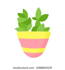 Cute cactus in a pink and yellow pot