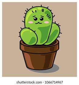 Cute cactus plant