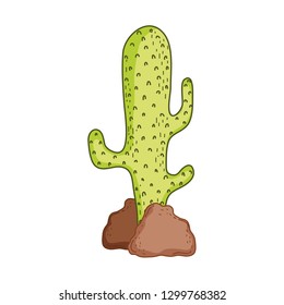 cute cactus plant icon