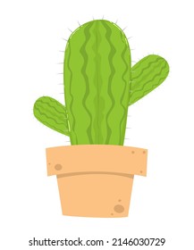 cute cactus in a plant pot. vector and illustration white background and isolation