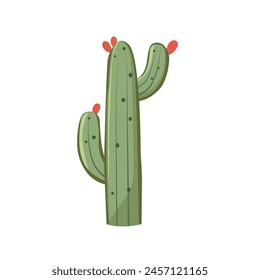 Cute cactus plant vector illustration, cacti clip art, cactuses tree image isolated on white background, member of plant family cactaceae