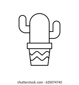 cute cactus in pot