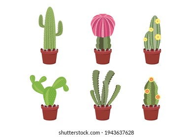 cute cactus in pot collection