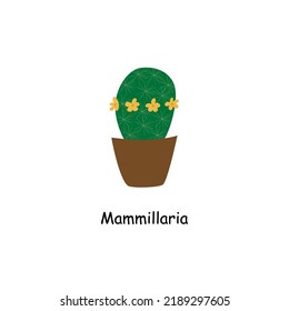 Cute cactus in a pot. Home plant. Blooming cactus. Room green cactus. Cactus of the genus Mammillaria. Vector cartoon isolated on white background,flat style. 