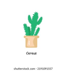 Cute cactus in a pot. Home plant. Room green cactus. Cactus of the genus Cereus. Vector cartoon isolated on white background,flat style. 