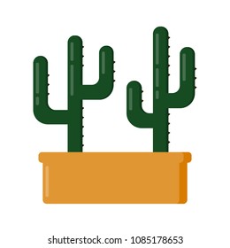 Cute cactus in pot on a white background