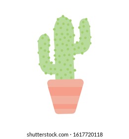 cute cactus in pot plant vector illustration design