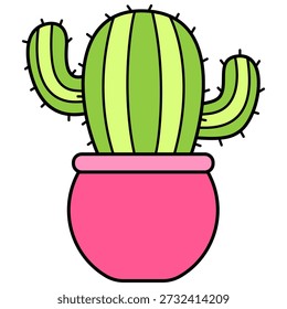 Cactus bonitinho em vasos isolados 