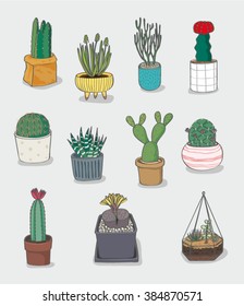 cute cactus set in pot