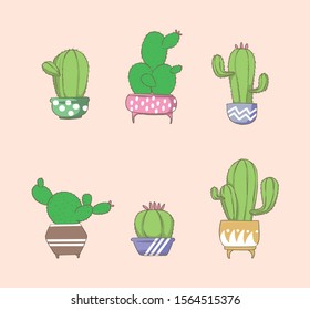 cute cactus shapes with unique pots