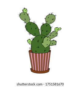 Cute cactus in a striped pot. Vector illustration on a white background. Postcards, clothing prints, posters.