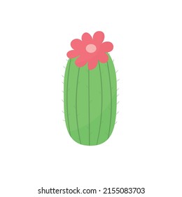 cute cactus or succulent with flowers, vector cartoon illustration in flat style with shadows