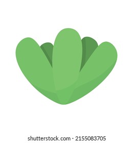 cute cactus or succulent, vector cartoon illustration in flat style with shadows