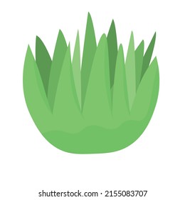cute cactus or succulent, vector cartoon illustration in flat style with shadows