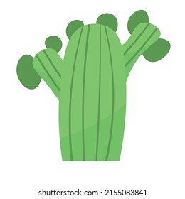 cute cactus or succulent, vector cartoon illustration in flat style with shadows