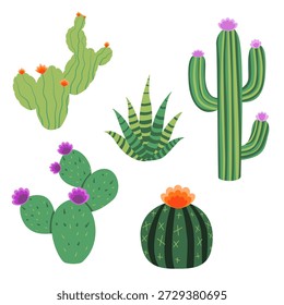 Netter Kaktus und saftiger Vektorsatz. Sammlung von handgezeichneten Wüstenpflanzen, Saguaro, Aloe und Stachelbirne mit Blumen einzeln auf weißem Hintergrund.
