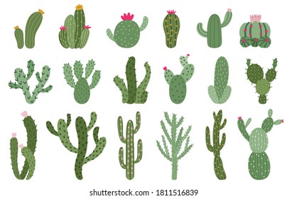 Cactus. Suculentos y flor de cactus, plantas verdes de casas desérticas, plantas de hogar tropicales aisladas de ilustraciones vectoriales conjunto. Flora de diferente tamaño y forma para el clima caliente