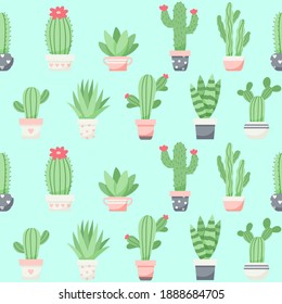 Cute cactus and succulents pattern, vector illustration in flat style