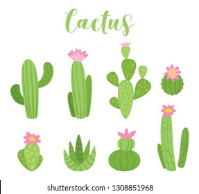 Cute cactus vector illustration for any purposes. Green plant design, isolated on white background.
